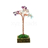 Fluorite Flower Garden Crushed Stone Fortune Tree Ornaments Mini Home Creative Office Decoration Crafts Small Ornaments PW-WG4CBFE-04-1