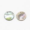 Paua Shell Charms SSHEL-R041-37-2