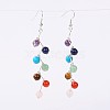 Trendy Gemstone Dangle Earrings EJEW-JE01428-1