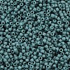 MIYUKI Delica Beads SEED-X0054-DB2407-2