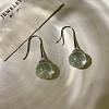 Alloy Resin Dangle Earrings WG2F2FE-01-1