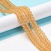 Transparent Glass Beads Strands LS-EGLA-A034-T8mm-MD23-2