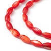 Natural Freshwater Shell Dyed Beads Strands X-SHEL-M018-13-05-3