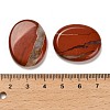 Natural Red Jasper Cabochons G-C166-02B-3