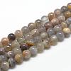 Natural Black Sunstone Beads Strands G-R446-10mm-33-1