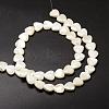 Natural Trochid Shell/Trochus Shell Beads Strands SSHEL-K012-05-2