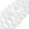 Natural Selenite Beads Strands G-B103-A01-06-1