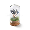 Natural Lapis Lazuli Chips Money Tree in Dome Glass Bell Jars with Wood Base Display Decorations DJEW-K030-02B-1