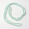 Dyed Natural Freshwater Shell Rondelle Bead Strands BSHE-O016-19B-2