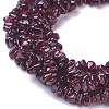 Natural Garnet Chip Beads Strands G-L491-06-2