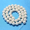 Round Shell Pearl Bead Strands BSHE-L011-8mm-A013A-3