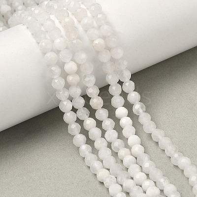 Natural Rainbow Moonstone Beads Strands G-B168-A11-4mm-1