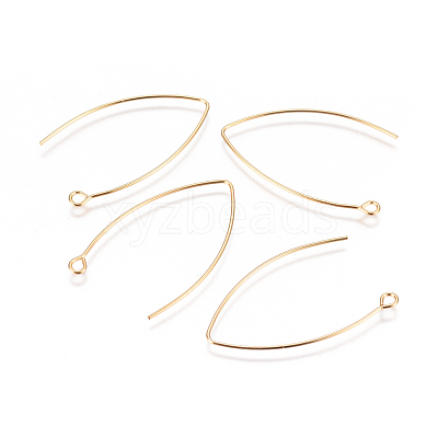 304 Stainless Steel Earring Hooks STAS-F227-26B-G-1