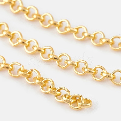 Iron Rolo Chains CH-S066-G-LF-1