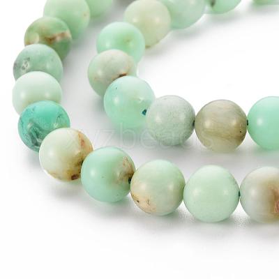 Natural Chrysoprase Beads Strands G-S333-10mm-037-1