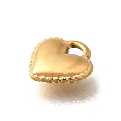 304 Stainless Steel Charms STAS-D288-04G-1