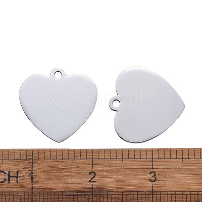 Tarnish Resistant 304 Stainless Steel Pendants STAS-I140-10B-S-1