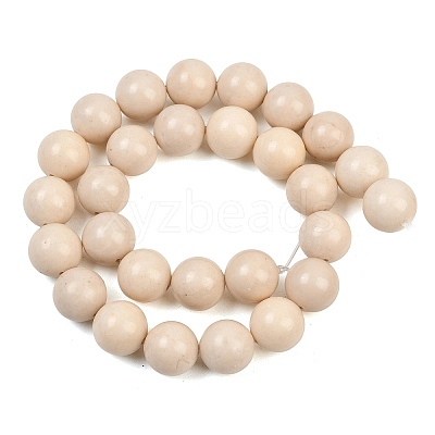 Natural Fossil Beads Strands G-E110-14mm-2-1
