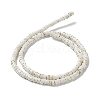 Natural Howlite Beads Strands X-G-E604-A01-B-1