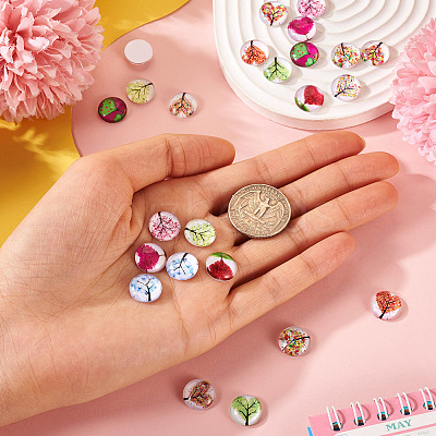 24Pcs 12 Style Glass Cabochon GLAA-TA0001-71-1