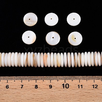 Natural Freshwater Shell Beads Strands X-SSHEL-T017-02-1