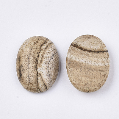 Natural Picture Jasper Cabochons X-G-S349-25A-01-1
