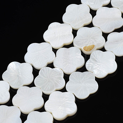 Natural Freshwater Shell Beads Strands SHEL-N026-188-1