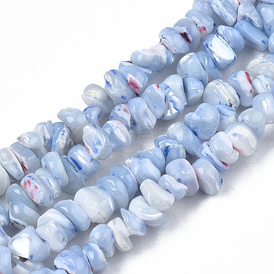 Natural Freshwater Shell Beads Strands SHEL-N003-23-B02-1