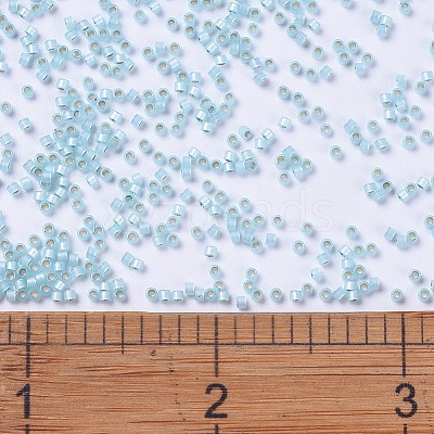 MIYUKI Delica Beads SEED-J020-DB0628-1