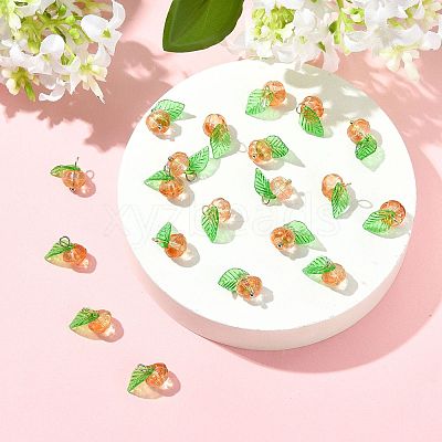 20Pcs 2 Colors Glass & Acrylic Pendants PALLOY-FS00051-1