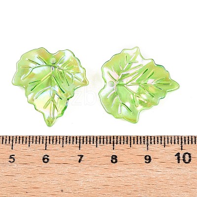 Acrylic Pendants OACR-N137-31A-1