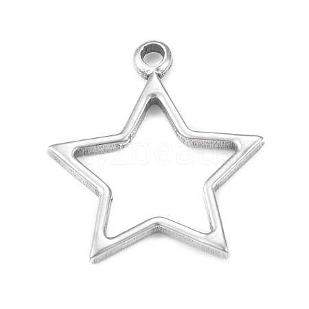 Non-Tarnish 304 Stainless Steel Pendants STAS-F287-13P-1