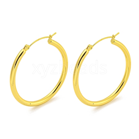 304 Stainless Steel Earrings EJEW-R161-01A-G-1