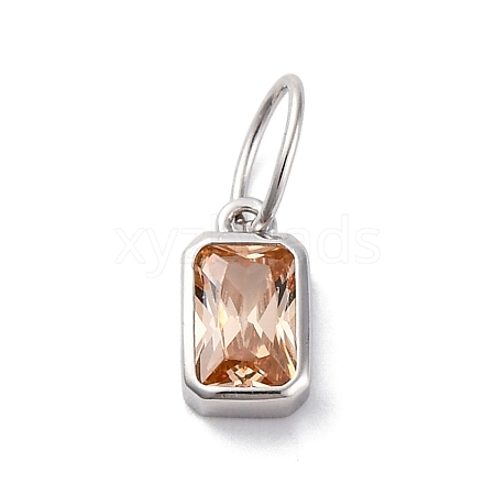 925 Sterling Silver Cubic Zirconia Charms STER-NH0014-01P-11-1