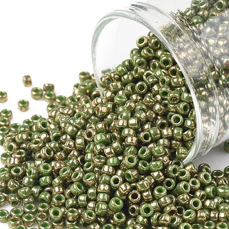 TOHO Round Seed Beads SEED-JPTR11-1702-1