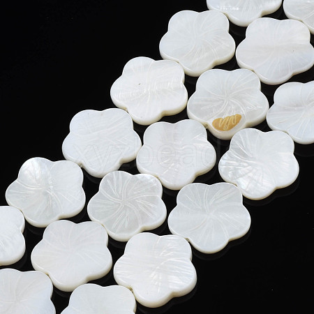 Natural Freshwater Shell Beads Strands SHEL-N026-188-1
