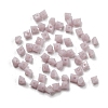 Glass Beads GLAA-D300-01G-2