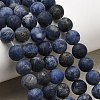 Natural Sodalite Beads Strands G-Q462-8mm-07-7