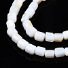 Natural Freshwater Shell Beads Strands SHEL-N034-29B-01-3