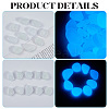 1 Set Resin Luminous Glow in the Dark Pebbles Stone DJEW-CN0001-40C-5
