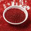 MIYUKI Round Rocailles Beads X-SEED-G009-RR0010-2