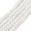 Electroplate Opaque Solid Color Glass Beads Strands LS-EGLA-A044-P6mm-L01-1