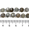 Natural Labradorite Beads Strands G-G182-B02-02-5