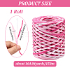 Segment Dyed Raffia Paper Cords for DIY Craft OCOR-WH20020-27A-2