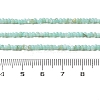 Natural Freshwater Shell Beads Strands SHEL-P017-01A-08-4