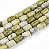 Natural Jade Beads Strands G-N346-01B-13-2