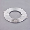 Aluminum Wire AW-WH0002-01B-3mm-1