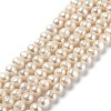 Natural Cultured Freshwater Pearl Beads Strands PEAR-L033-23-01-1