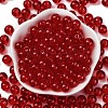 Transparent Colours Glass Seed Beads SEED-Z004-T8MM-03-2