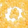 Frosted Transparent Acrylic Beads OACR-F013-13I-1